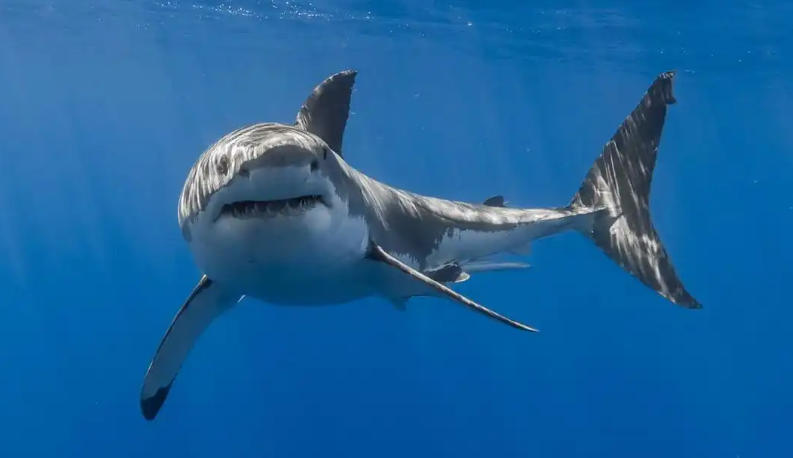 广西天源通泰商贸有限公司轮播图5