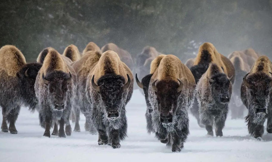 广西天源通泰商贸有限公司轮播图3